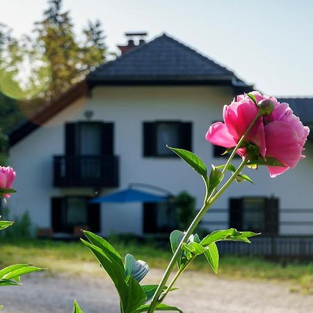 Apartments Zakrasnik Škofja Loka Zewnętrze zdjęcie
