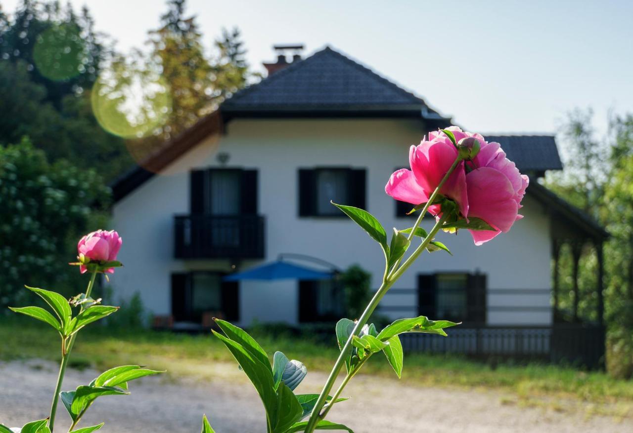 Apartments Zakrasnik Škofja Loka Zewnętrze zdjęcie