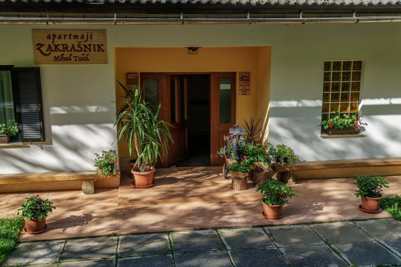 Apartments Zakrasnik Škofja Loka Zewnętrze zdjęcie