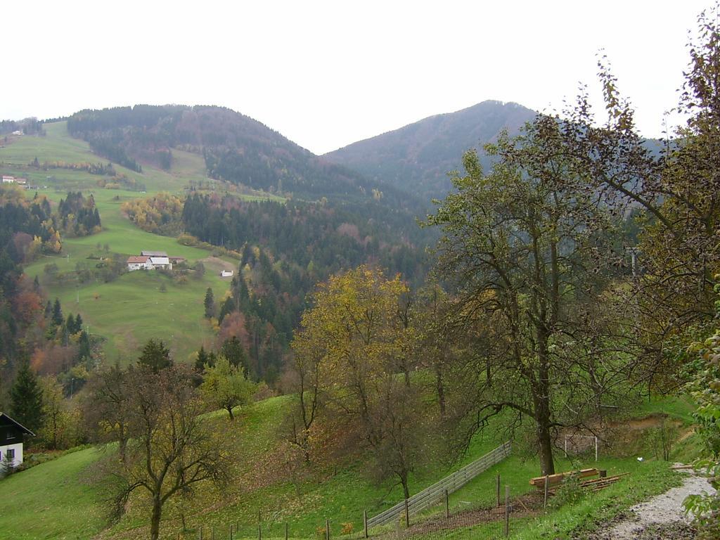 Apartments Zakrasnik Škofja Loka Zewnętrze zdjęcie
